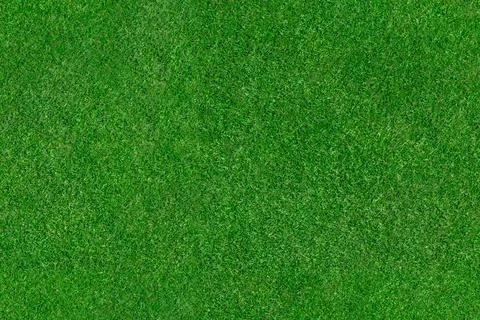 Grass seamless background texture Foto stock