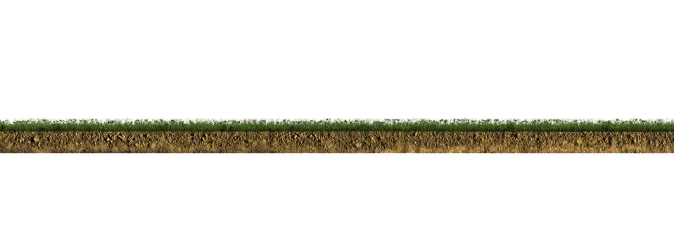 Grass section Stock Illustration