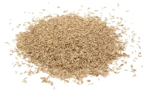 Grass seed Stock Photos