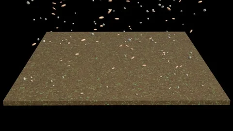 Grass seeds falling on lawn. Grass seeds growing. 3d animation render Stock Footage 308771096