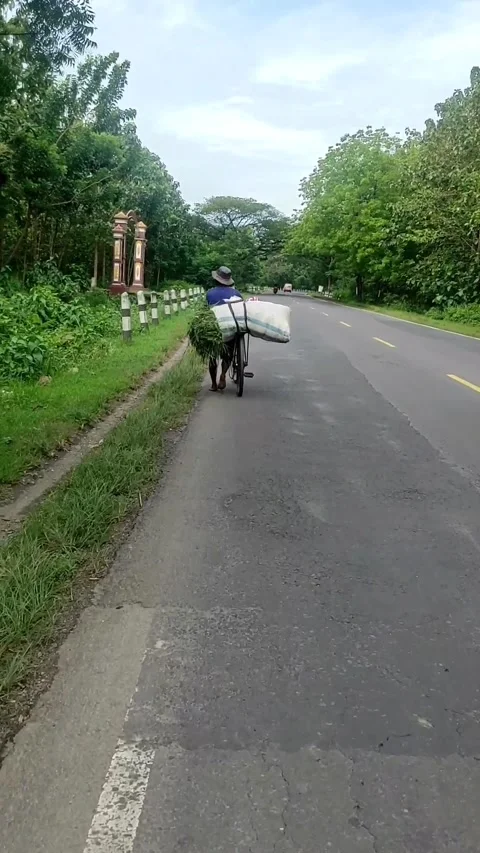 A grass seeker Stock Footage 204995273