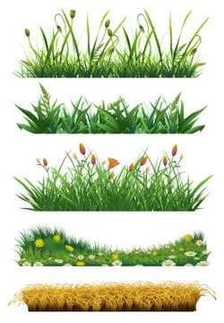 Grass set of vector elements. Fresh grass. Nature and ecology 스톡 일러스트