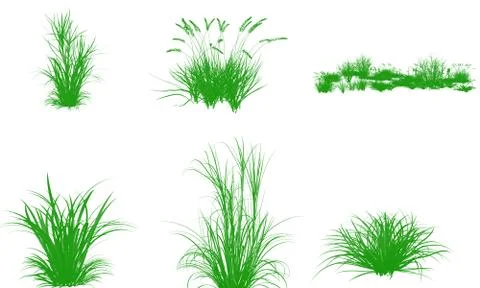 Grass set on white background Stock Illustration