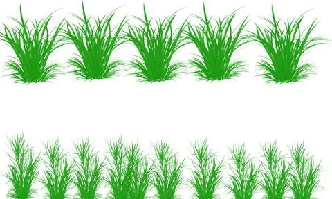 Grass set on white background Stock Illustration