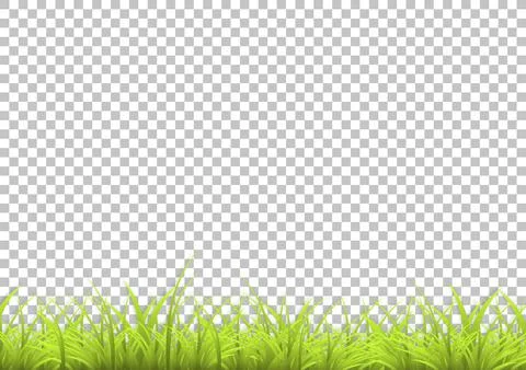 Grass with shadow in isolated background. Summer background. Vector Stock Illustration