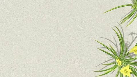 Grass Shadows on Beige Wall Stock Footage 320828475