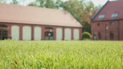 Grass with Shallow Depth of Field in the Sunny Park. Slow Motion 120 fps. Vidéo 67230989