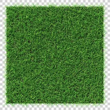 Grass shape - design element isolated - 3d rendering Stock Illustration