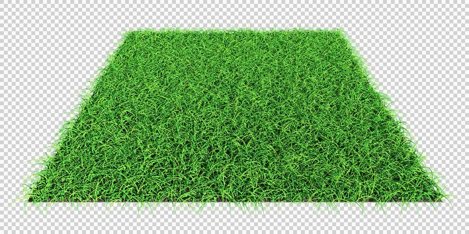 Grass shape - design element isolated - 3d rendering Illustrazione stock