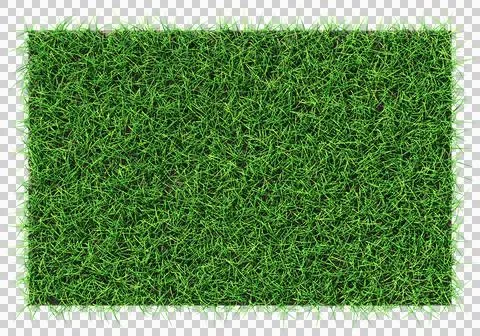 Grass shape - design element isolated - 3d rendering Stock Illustration