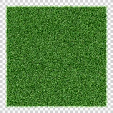 Grass shape - design element isolated - 3d rendering Stock Illustration