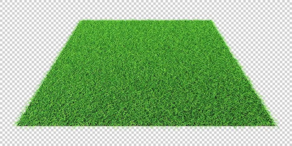 Grass shape - design element isolated - 3d rendering Stock Illustration