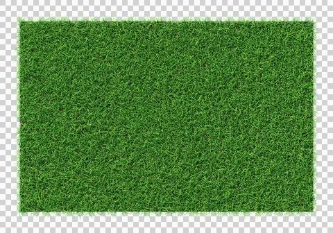 Grass shape - design element isolated - 3d rendering Stock Illustration