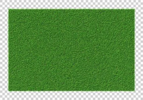 Grass shape - design element isolated - 3d rendering Stock Illustration