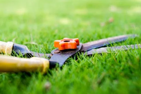 .Grass Shears Stock Photos