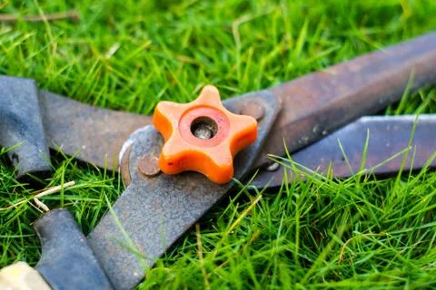 Grass shears Stock Photos