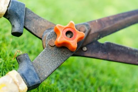Grass shears Stock Photos