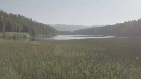 Grass Shore Lake Stock Footage 121991093