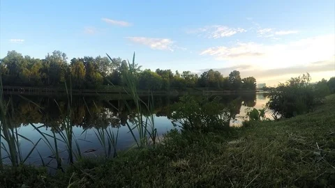 Grass on shore of lake at sunset timelapse Stock Footage 82986471