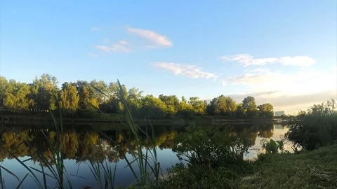 Grass on the shore of pond at sunset timelapse Stock Footage 82983673