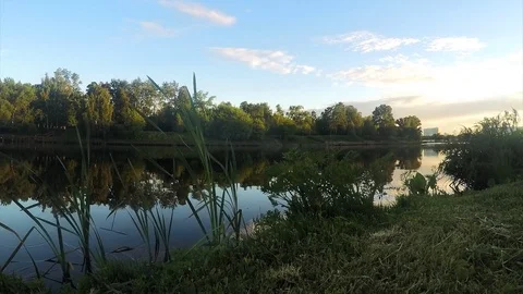 Grass on shore of a pond at sunset timelapse Stock Footage 82986427