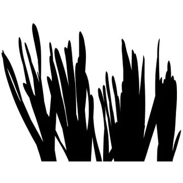 Grass Silhouette Stock Illustration