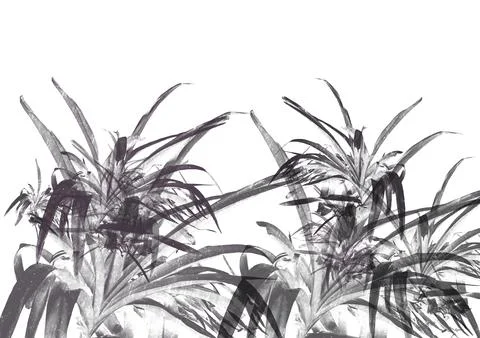 Grass silhouette isolated on white. abstract illustration of plants and grass Stock Illustration