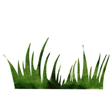 Grass simple watercolor. Hand drawing green vegetation on isolated white Stock Illustration
