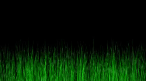 Grass Simulation Stock Footage 33191044