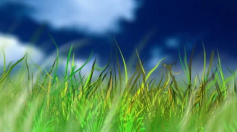 Grass, sky and whitte flower Video stock 1069220