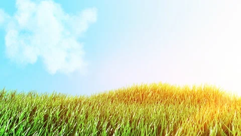Grass with Sky Background Loop Stock Footage 172347441