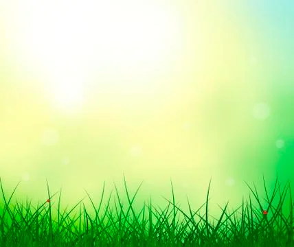 Grass sky sun ladybug summer background Stock Illustration
