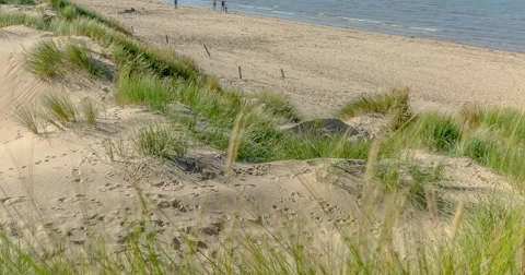 Grass to Sky Timelapse Stock Footage 57510414