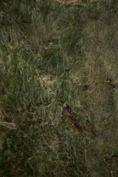 Grass on the slope of the rock, interestingly swirled by the wind Stock Photos