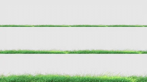 Grass Slow 3 Clip Stock Footage 203664543