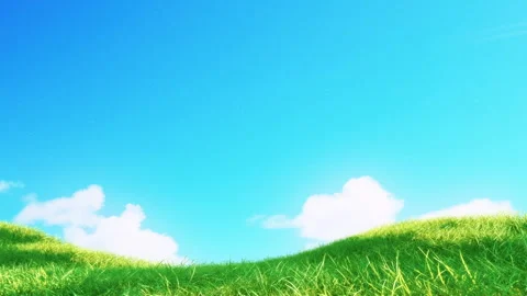 Grass Slow Loop on Blue Sky Stock Footage 254149947