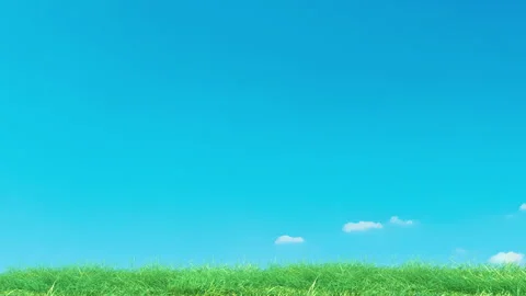 Grass Slow Loop on Blue Sky Stock Footage 263171610