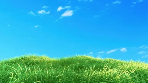 Grass Slow Loop on Blue Sky Stock Footage 264796706