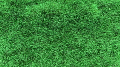 Grass Slow on Top View Loop Stock Footage 193277401
