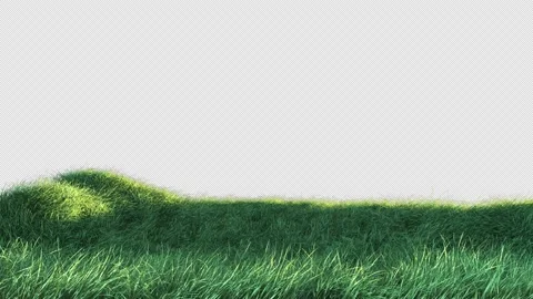 Grass Slow Wind Loop with Alpha Channel Video stock 201509903