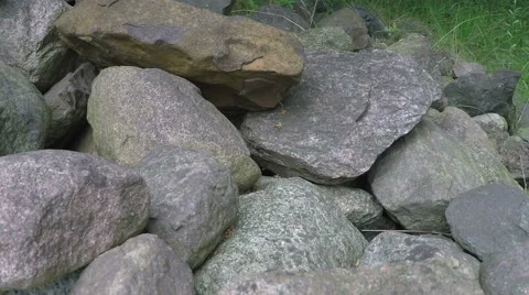 Grass snake relaxing 스톡 동영상 68662948