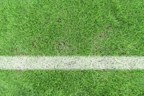 Grass soccer field with white pattern lines. Top view sport background. Stock Photos