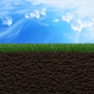 Grass, soil and sky background 스톡 일러스트