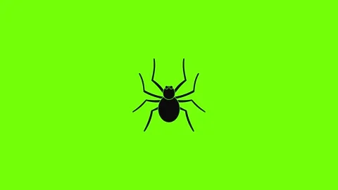 Grass spider icon animation Stock Footage 158329402