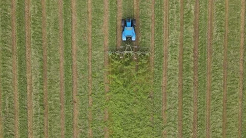 Grass spreading Stock Footage 337462063