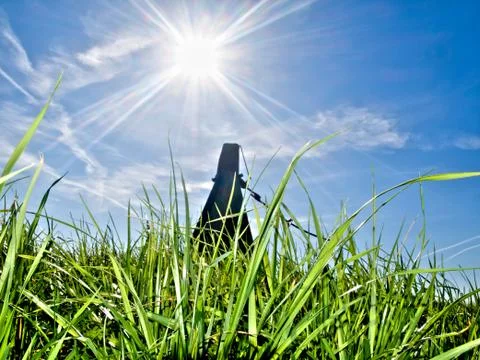 Grass at spring Foto stock