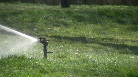 Grass sprinkler Stock Footage 347429