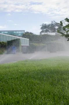 Grass Sprinkler Stock Photos