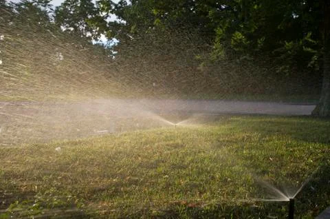 Grass Sprinkler Stock Photos