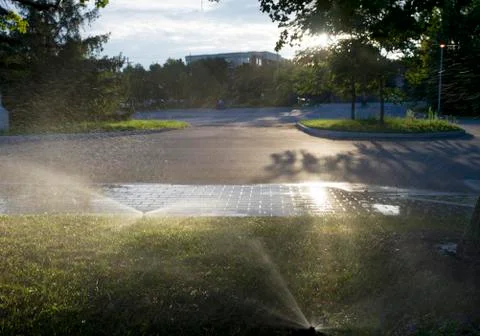 Grass Sprinkler Stockfoto's